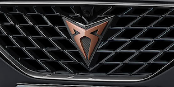 CUPRA  NP NEARLY PERFECT NPNEARLYPERFECT
